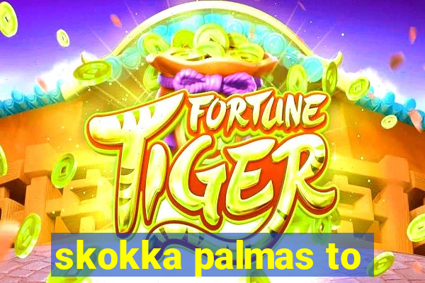 skokka palmas to